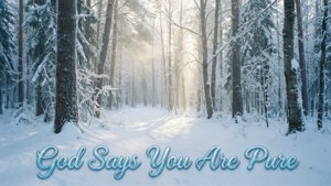Winter forest wallpaper with purity message