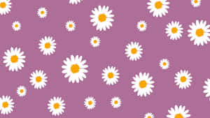 Fundo roxo com margaridas brancas espalhadas com centros amarelos. — Purple Preppy Papéis de Parede