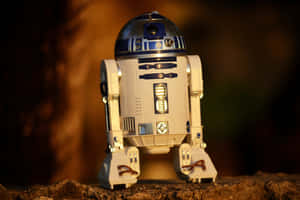 R2-D2 droid toy on rocks under golden light