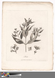 Rack by James Heath, in Etching and engraving on medium, moderately textured, cream laid paper. Download this artwork as a high-resolution wallpaper for desktop — James Heath Wallpaper