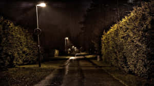 Una strada bagnata di notte illuminata da lampioni con siepi su entrambi i lati. — Natura piovosa Sfondi