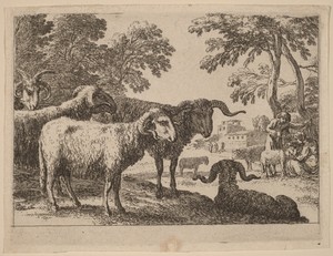 Rams by Herman van Swanevelt, in etching. Download this artwork as a high-resolution wallpaper for desktop, tablet, or mobile. — Herman van Swanevelt Wallpaper