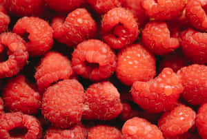 A pile of fresh red raspberries with dewdrops glistening on their surface.