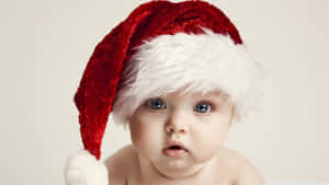 Really Cute