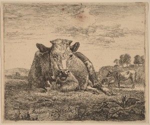 Recumbent Cow by Adriaen van de Velde, created 1657, in etching. Download this artwork as a high-resolution wallpaper for desktop, tablet, or mobile. — Adriaen van de Velde Wallpaper