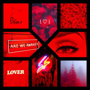 Colagem com tema vermelho com texto de Peixes, rosas, letreiros de neon e uma cena de floresta nebulosa. — Vermelho e preto Papéis de Parede