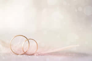 Two gold wedding rings on a pink feather with soft glowing background. — Love Symbol Picture