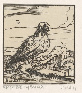 Roofvogel by Dirck de Bray, created 1662, in paper; houtsnede. Download this artwork as a high-resolution wallpaper for desktop, tablet, or mobile. — Dirck de Bray Wallpaper