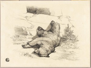 Russian Bear by Auguste André Lançon, created n.d., in Pen and black ink with brush and black wash on cream laid paper. Download this artwork as a high-resoluti — Auguste André Lançon Wallpaper