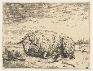 Rustend schaap by Karel du Jardin, created 1655, in paper; etching. Download this artwork as a high-resolution wallpaper for desktop, tablet, or mobile. — Karel du Jardin Wallpaper
