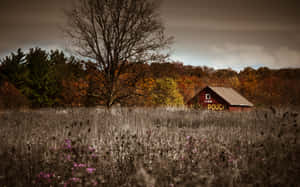 Granero rojo en campo otoñal con flores silvestres moradas y árboles desnudos bajo cielo nublado. — Cottage Aesthetic Fondos de pantalla