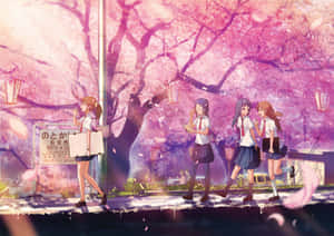 Quattro ragazze anime in uniforme scolastica camminano sotto fiori di ciliegio rosa con lanterne luminose. — Cool Japanese Tree Sfondi