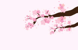 Ramo di ciliegio con fiori rosa e petali che cadono su uno sfondo rosa tenue — Cool Japanese Tree Sfondi