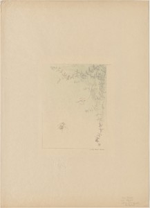 Salamander (La Salamandre) by Pierre Roche, created 1895, in color lithograph on japanese paper. Download this artwork as a high-resolution wallpaper for deskto