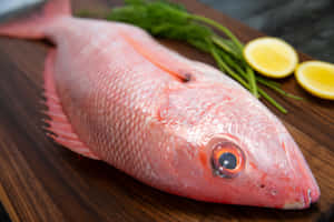 Frischer Pink Snapper Fisch mit Zitrone und Dill auf Holzschneidebrett — Cutlassfish Wallpaper