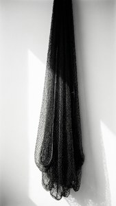 A dramatic black and white portrait of a hanging net