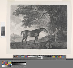 Sharke by George Townley Stubbs, in Stipple engraving with etching and engraving, first state on medium, slightly textured, cream wove paper. Download this artw — George Townley Stubbs Wallpaper