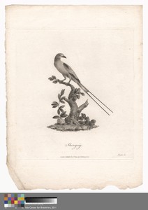 Sheregrig by James Heath, in Etching and engraving on medium, moderately textured, cream laid paper. Download this artwork as a high-resolution wallpaper for de — James Heath Wallpaper