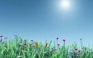 Colorful wildflowers sway in a sunlit meadow under a clear blue sky.