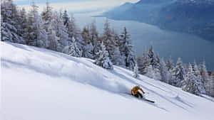 Esquiador deslizando encosta nevada com pinheiros e lago ao fundo — Alpine Skiing Papéis de Parede