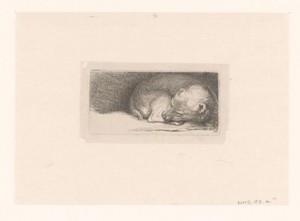 Sleaping puppy by Jacob Folkema, created 1702 - 1767, in paper; etching. Download this artwork as a high-resolution wallpaper for desktop, tablet, or mobile. — Jacob Folkema Wallpaper