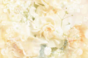 A soft-focus bouquet of cream roses and baby's breath in gentle pastel tones.