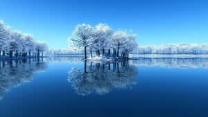 Frozen island with snow-covered trees reflected in calm blue water under clear sky.