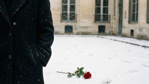 Vanitas i en snedækket parisisk gårdhave med en enkelt rød rose, minimalistisk og melankolsk