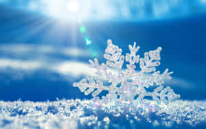 A detailed snowflake on snowy ground with sun rays in blue sky — Snowflake Wallpaper