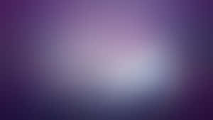 Soft purple to lavender gradient background with central light glow. — Lavish Picture