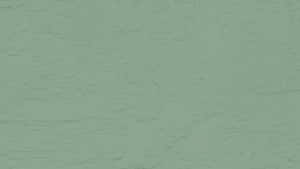 Parede texturizada verde sálvia com sulcos e redemoinhos sutis de gesso — Verde escuro liso Foto Papéis de Parede