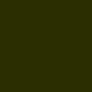 Dark olive green solid color background for wallpaper. — Airplane Background
