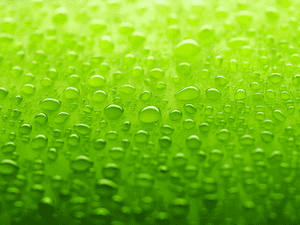 Close-up of glistening water droplets on a vibrant green surface. — Water Droplets PNG