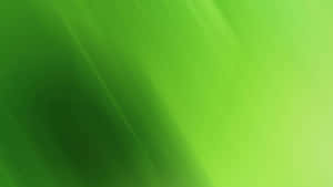 Abstrakt grön gradient med diagonala ljusstrimmor och mjuk oskärpa. — Solid grön bakgrund Bakgrundsbilder
