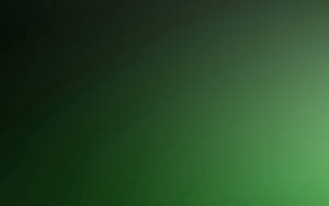 Soft green gradient background with subtle texture and smooth lighting transition.