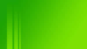 Fond vibrant avec dégradé de vert et douces rayures verticales.