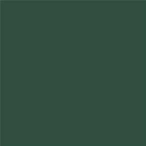 Fond texturé vert foncé avec un dégradé subtil.