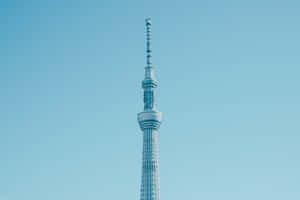 Tokyo Skytree-torn mot en klar blå himmel — Solid Dark Blue Bakgrundsbilder