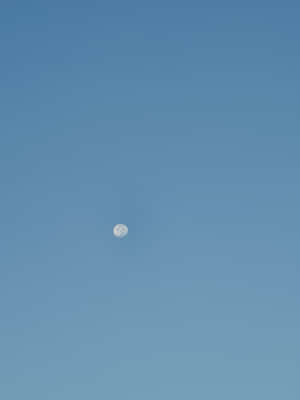 Halvmåne på klarblå himmel — Solid Dark Blue Bakgrundsbilder