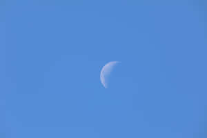 Halvmåne på klarblå himmel — Solid Dark Blue Bakgrundsbilder