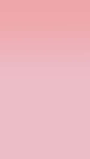Vertikaler Verlauf von Rosa zu Blush Pink für beruhigende Hintergründe — Pink Solid Hintergrundbild