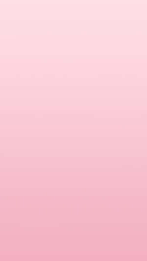 Vertikaler Verlauf von sanften Rosatönen von hell bis tiefrosa. — Pink Solid Hintergrundbild