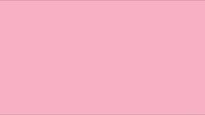 Einfarbiger rosa Hintergrund ohne Objekte oder Details. — Pink Solid Hintergrundbild