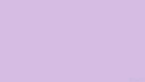Solid lavender background with no objects or details.