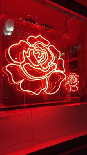 Neonrød rosen skilt som gløder i et glassbutikkvindu om natten.