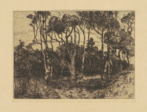 Solitude by Mary Nimmo Moran, created 1880, in etching in black on laid paper. Download this artwork as a high-resolution wallpaper for desktop, tablet, or mobi