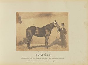 Sorcière by Adrien Alban Tournachon, created 1860. Download this artwork as a high-resolution wallpaper for desktop, tablet, or mobile. — Adrien Alban Tournachon Wallpaper