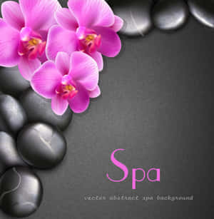 Rosa orkideer og grå steiner arrangert for et spa-tema med rosa tekst.