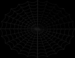 A white geometric spiderweb pattern on a black background.