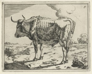 Staande stier by Marcus de Bye, created 1657 - c. 1677, in paper; etching. Download this artwork as a high-resolution wallpaper for desktop, tablet, or mobile. — Painting Picture